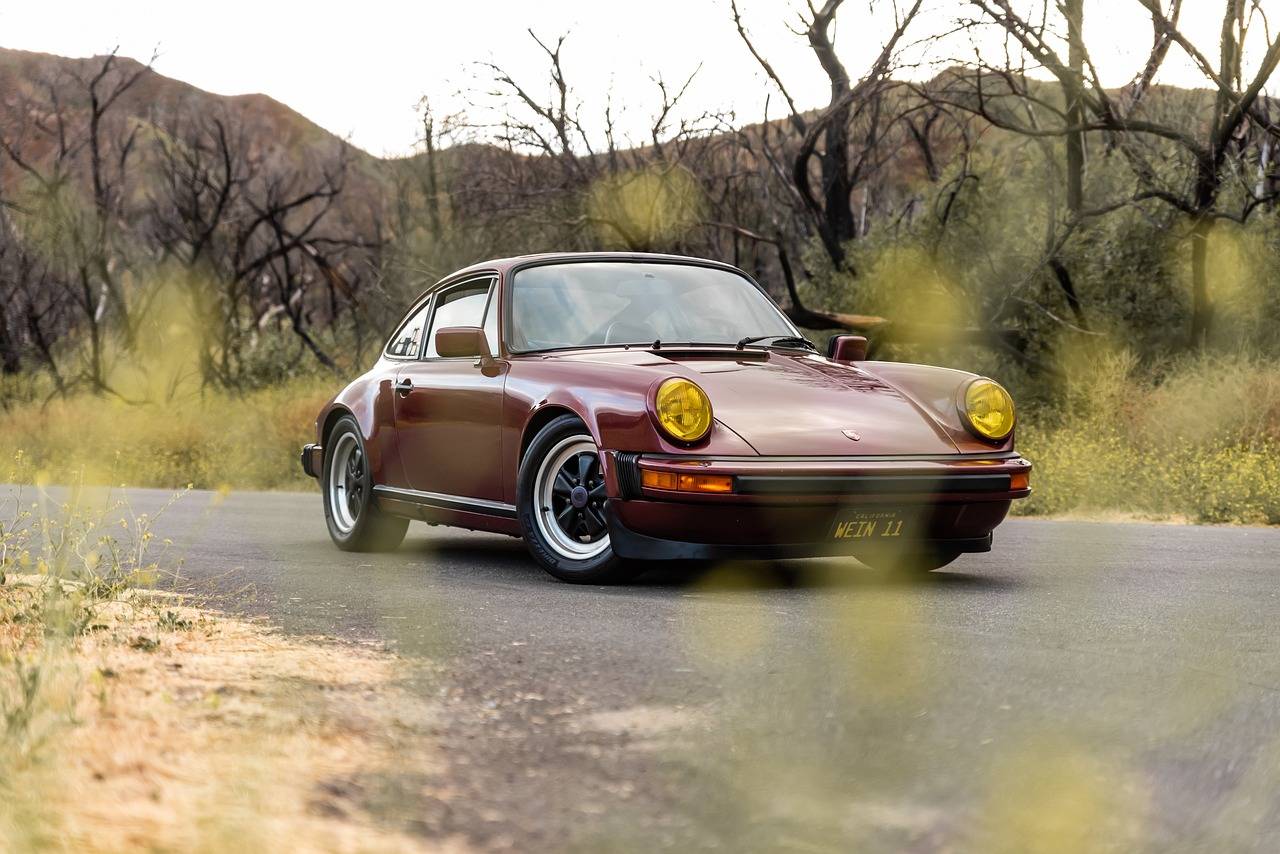 Vintage Porsche 911 Variants